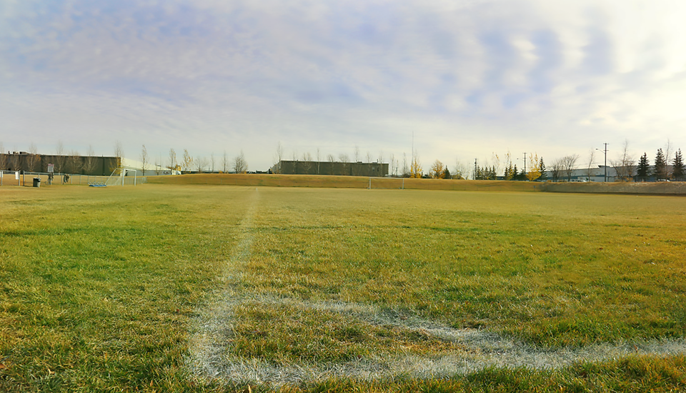 Soccer pitch.