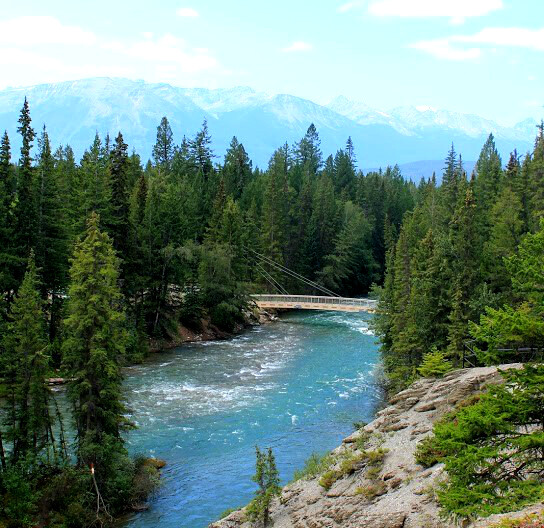 One of the 6 bridges on the Maligne Canyon Hike