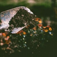 4 Steps to Start Composting