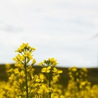 Interactive tool moves climate conversation beyond polarizing debate to accessible solutions