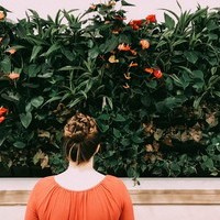 What's new at King's?