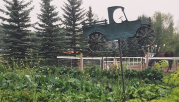an Instagram post on the importance of gardens