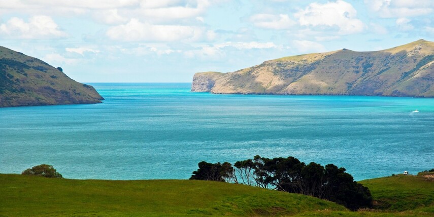 By Phillip Capper from Wellington, New Zealand - Akaroa Harbour entrance, Canterbury, New Zealand, 22nd. Nov. 2010, CC BY 2.0, https://commons.wikimedia.org/w/index.php?curid=18430509