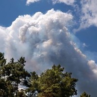 Alberta Applicants Affected by Wildfires - Joint Statement
