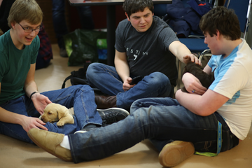 Students enjoying a puppy therapy event