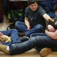 King’s Receives $225,000 Over Three Years to Fund Mental Health Initiatives