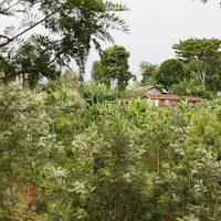 Conservation agriculture in Kenya