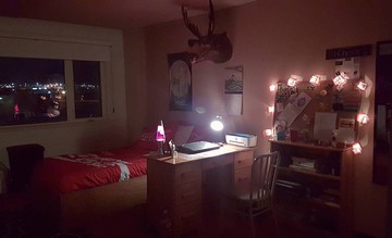 Best Nest 2017